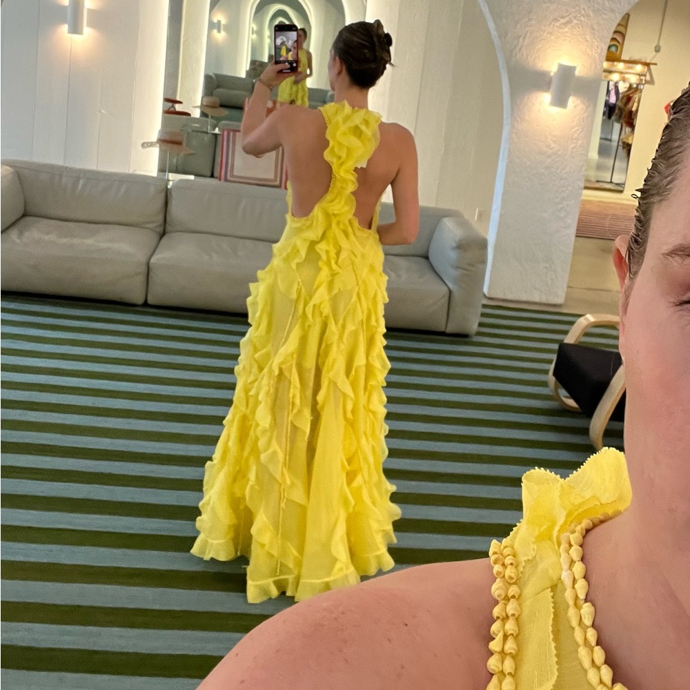 Zimmermann Wonderland Ruffle Dress